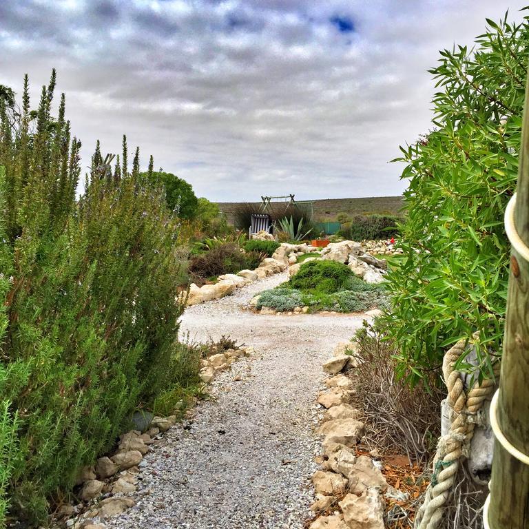Farr Out Guest House Paternoster Eksteriør billede