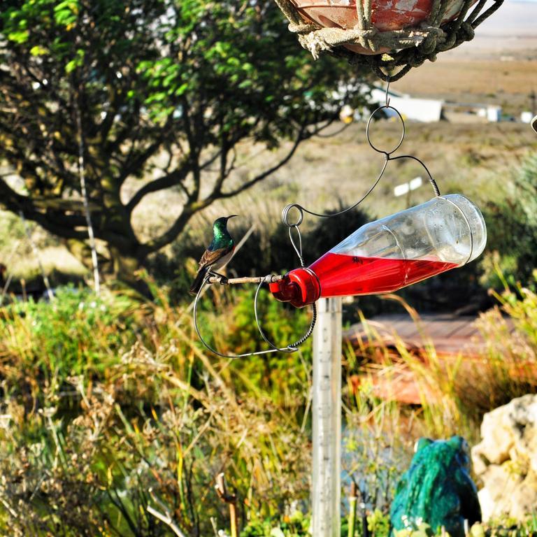 Farr Out Guest House Paternoster Eksteriør billede